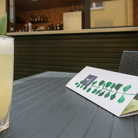 Ξενοδοχείο Afonso V &