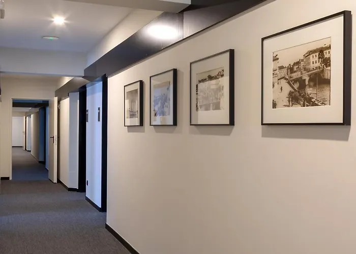 Afonso V & אבאירו