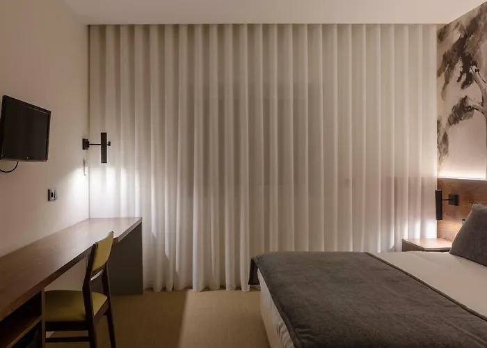 Afonso V & 3* אבאירו